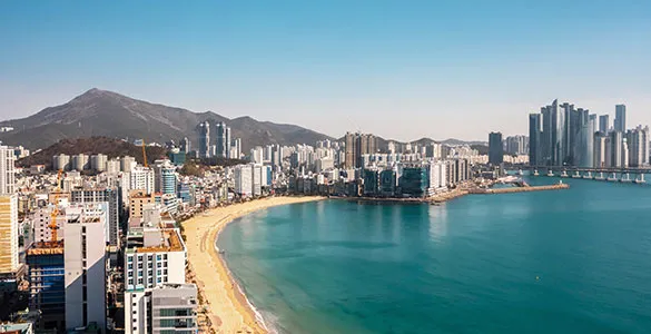 top-busan-excursions-for-temples-markets-beaches-and-culture-mid-content-3